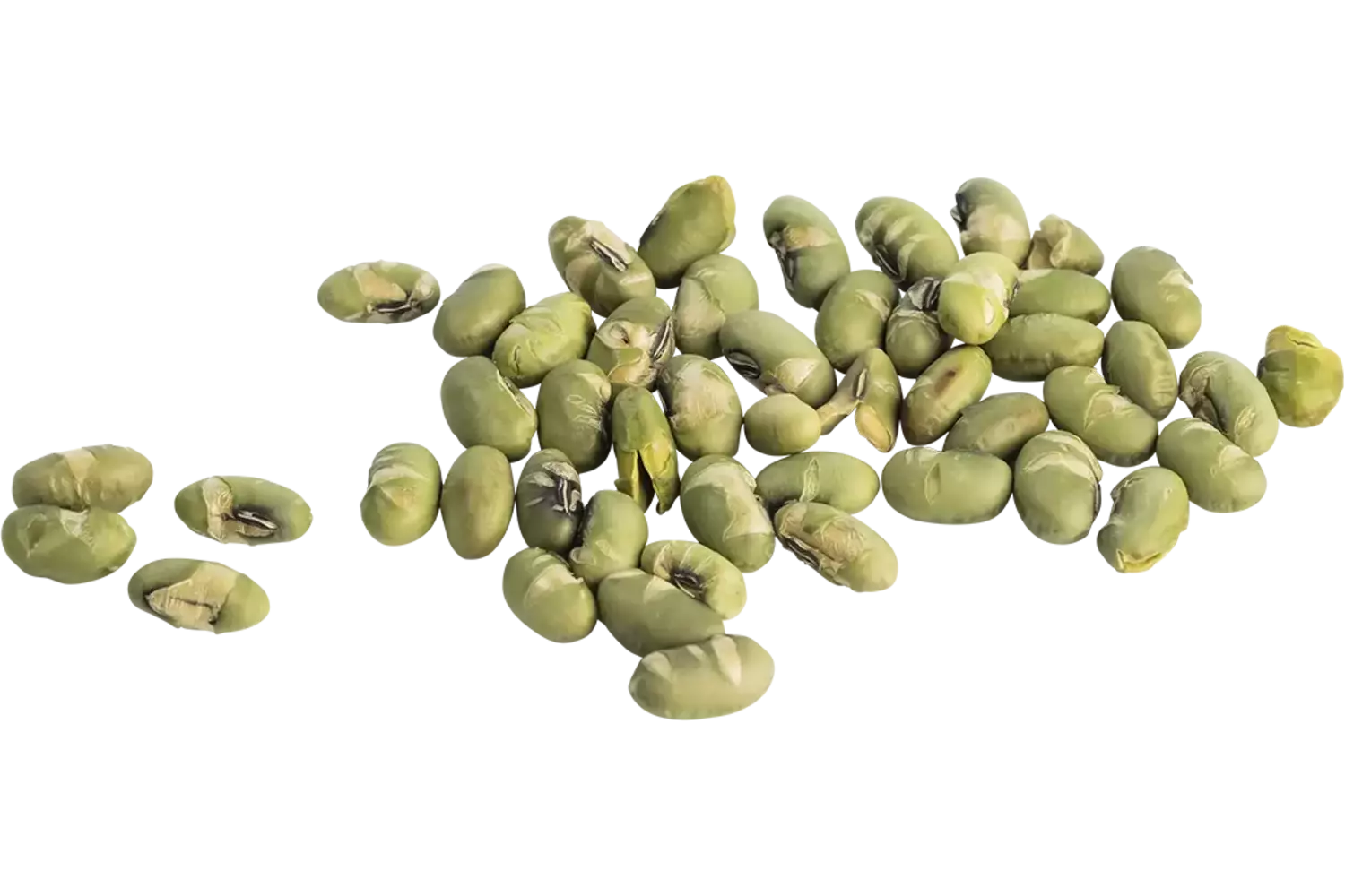 Edamame bonen geroosterd 700gr stuk 1